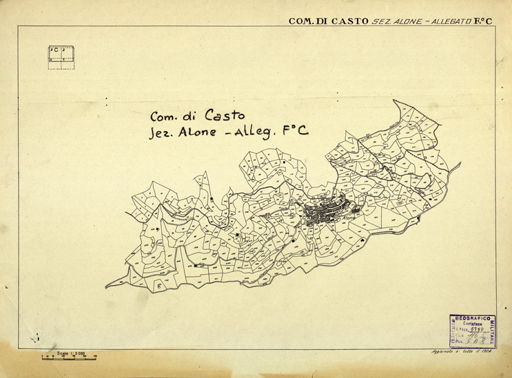 (N:12357) MAPPE CATASTALI D'ITALIA - PROVINCIA DI BRESCIA - Foglio C - COMUNE DI CASTO Sez. ALONE (B0003653) Carte e stampe antiche: riproduzione a colori su carta (formato A2)