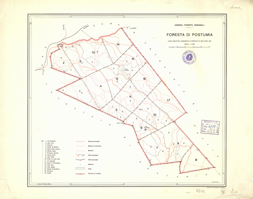 (N:9878) AZIENDA FORESTE DEMANIALI. FORESTA DI POSTUMIA (B0005512) Carte e stampe antiche: riproduzione a colori su carta (formato A2)