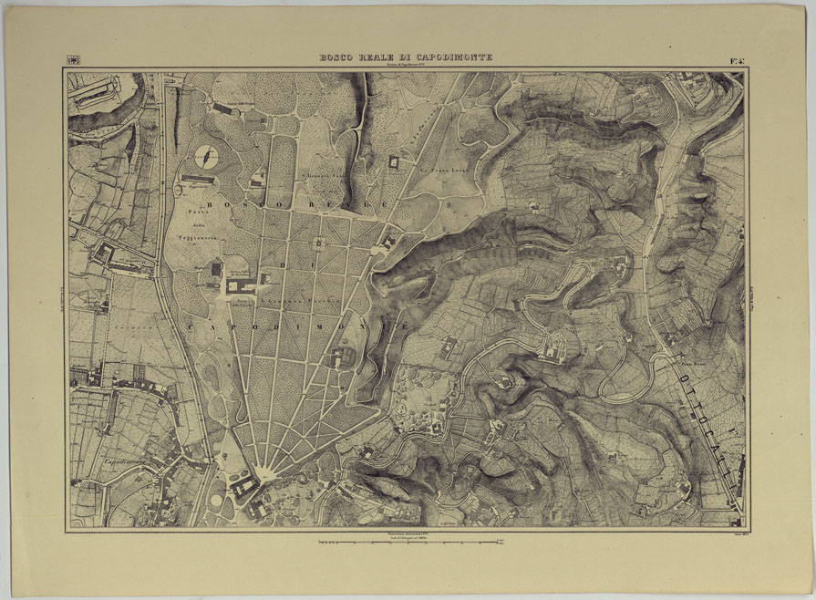 (N:17114) PIANTA TOPOGRAFICA DELLA CITTA' DI NAPOLI ALLA SCALA DI 1:4.000 - FOGLIO 4 BOSCO REALE DI CAPODIMONTE. (CA007586) Carte e stampe antiche: riproduzione a colori su carta (formato A2)