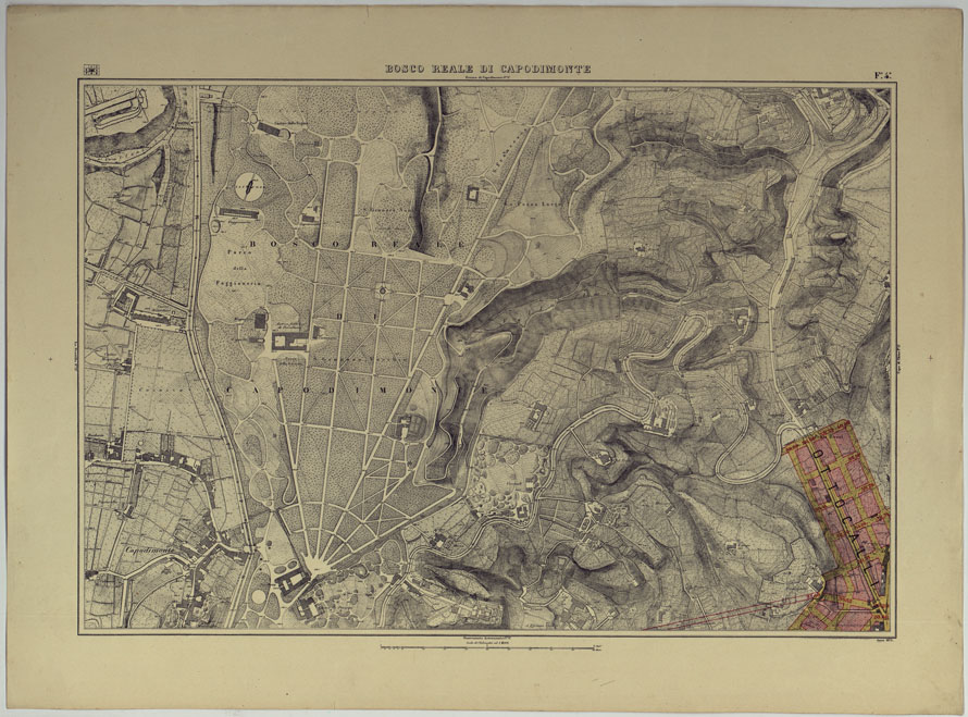 (N:25226) PIANTA TOPOGRAFICA DELLA CITTA' DI NAPOLI ALLA SCALA DI 1:4.000 EDIZIONE CON APPROVAZIONE PER AGGIORNAMENTI CATASTALI - FOGLIO 4 BOSCO REALE DI CAPODIMONTE. (CA007630) Carte e stampe antiche: riproduzione a colori su carta (formato A2)