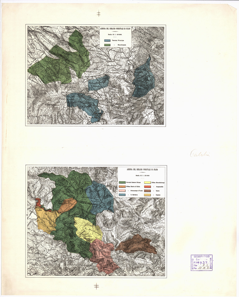 (N:4837) CARTA FORESTALE DELLA CALABRIA (ZONA DELLA SILA) (B0001359) Carte e stampe antiche: riproduzione a colori su carta (formato A3)