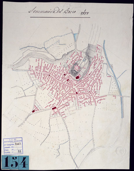 (N:10529) GRUPPO DI DODICI PIANTE DISEGNATE AD ACQUERELLO - SOMMARIVA DEL BOSCO. (CA001844) Carte e stampe antiche: riproduzione a colori su carta (formato A3)