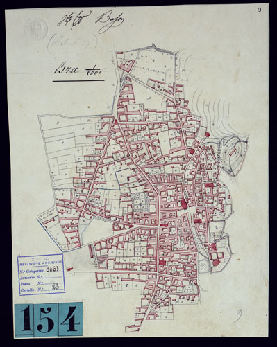 (N:10549) GRUPPO DI DODICI PIANTE DISEGNATE AD ACQUERELLO - BRA. (CA001847) Carte e stampe antiche: riproduzione a colori su carta (formato A3)