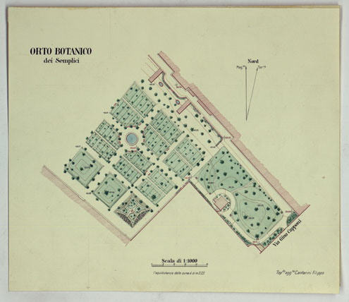 (N:17475) ORTO BOTANICO DEI SEMPLICI.
 (CA008030) Carte e stampe antiche: riproduzione a colori su carta (formato A3)